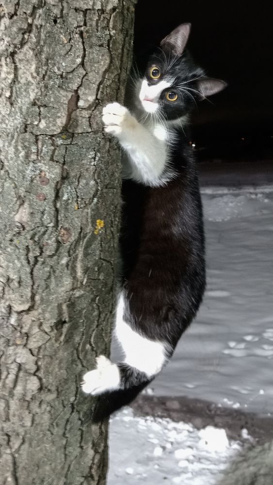 Фотография автора Геннадий Коробов