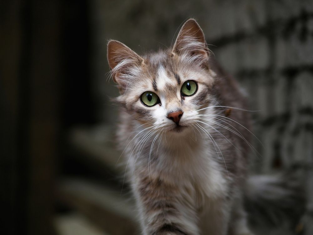 Photograph by Кирилл Лунченко