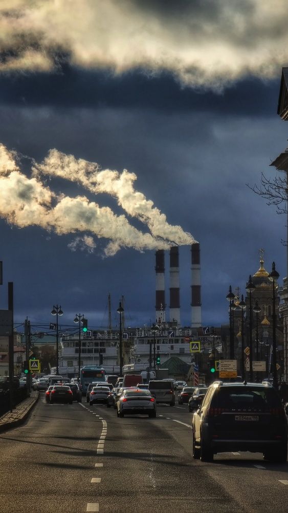 Фотография автора Наталья Законова