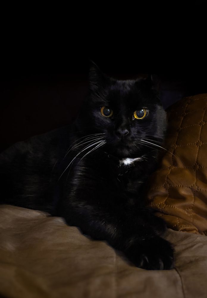 Фотография автора Геннадий Ломеко