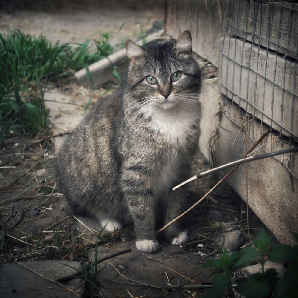 Photograph by Анна Берневик