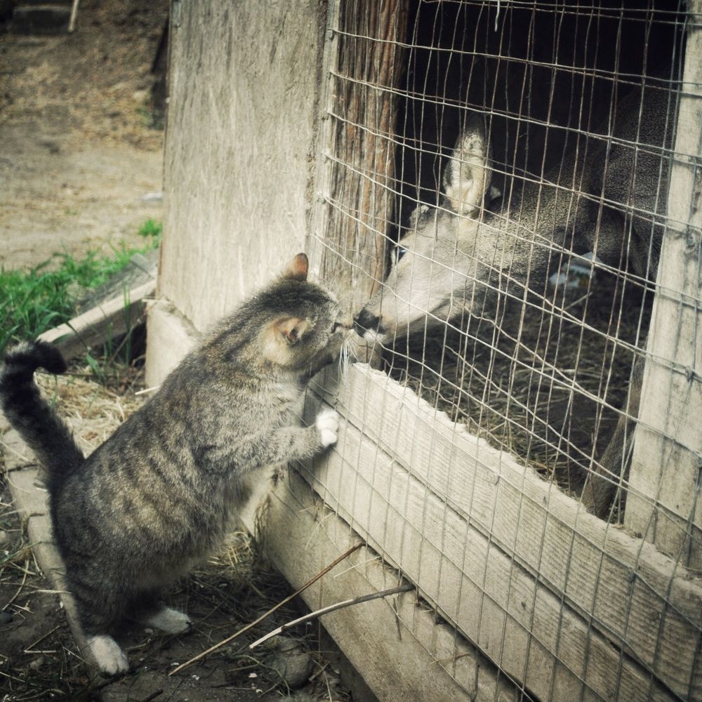 Photograph by Анна Берневик