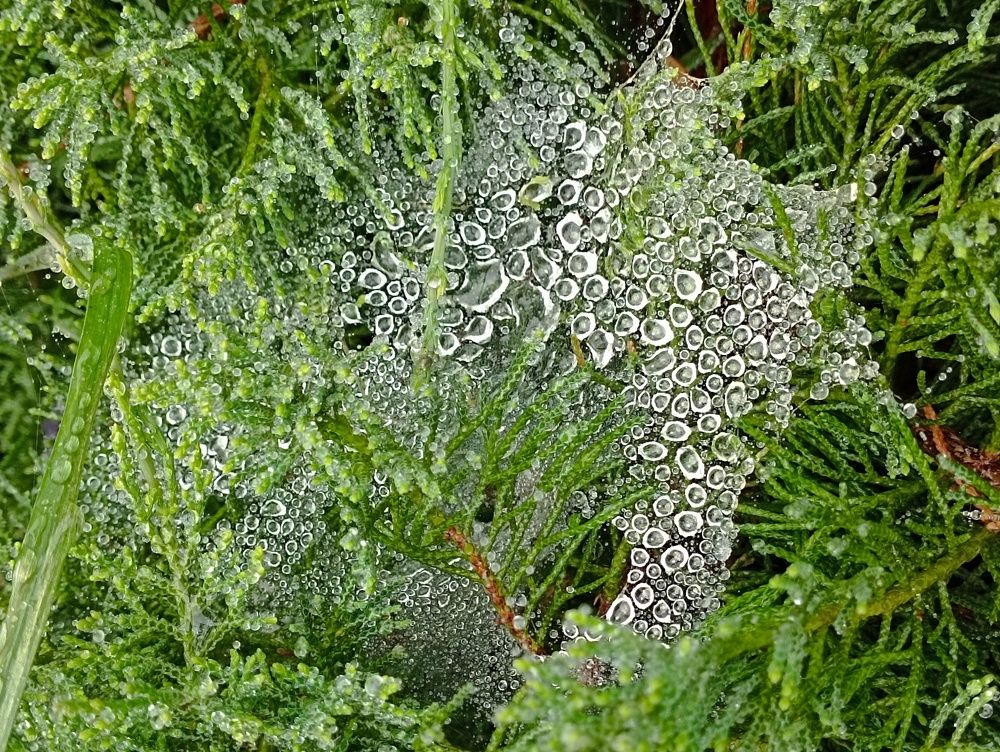 Фотография автора Людмила Куприянова