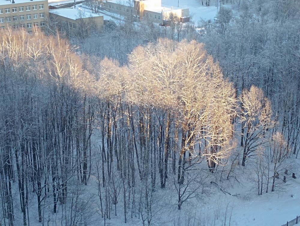 Фотография автора Людмила Куприянова