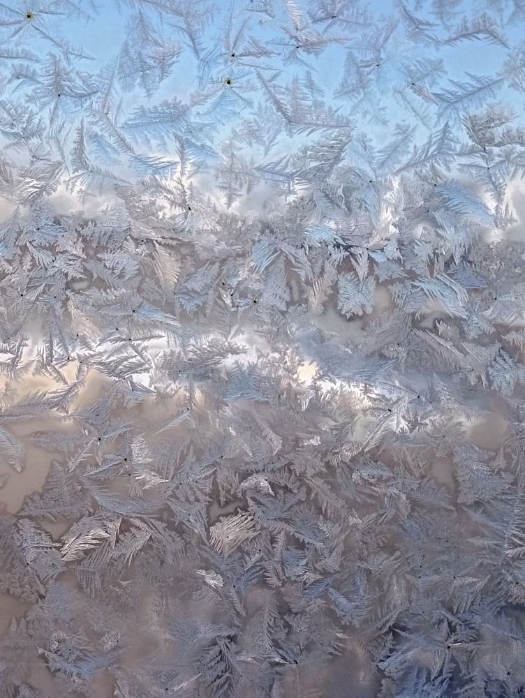 Фотография автора Людмила Куприянова