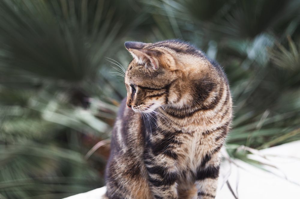 Photograph by Дмитрий Цикин