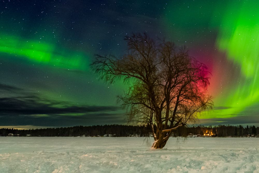 Photograph by Katrin Lillenthal