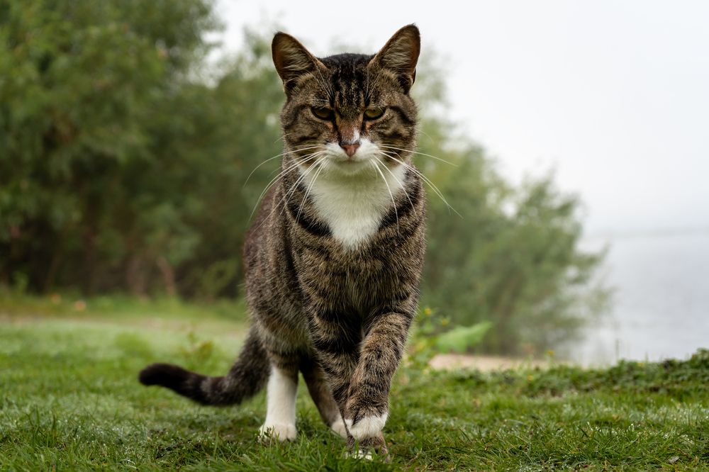 Photograph by Валентина Найдюк