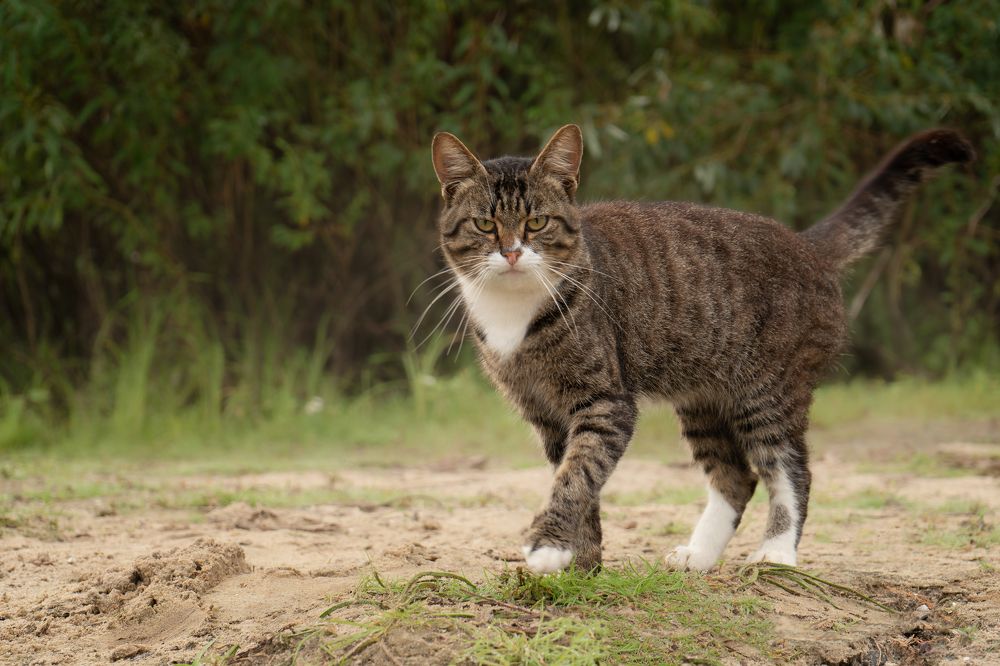Photograph by Валентина Найдюк