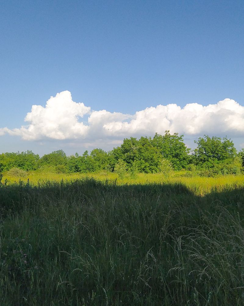 Photograph by Natalya Sedina