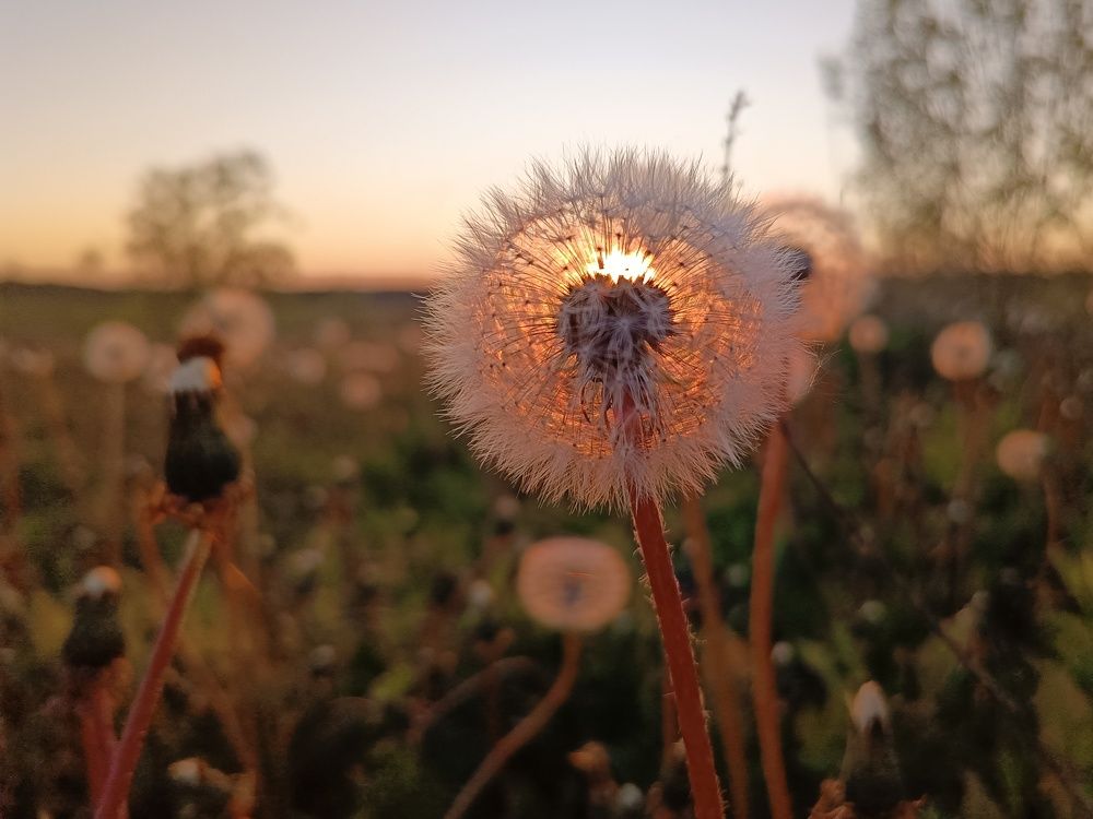 Photograph by Кондрашова Светлана
