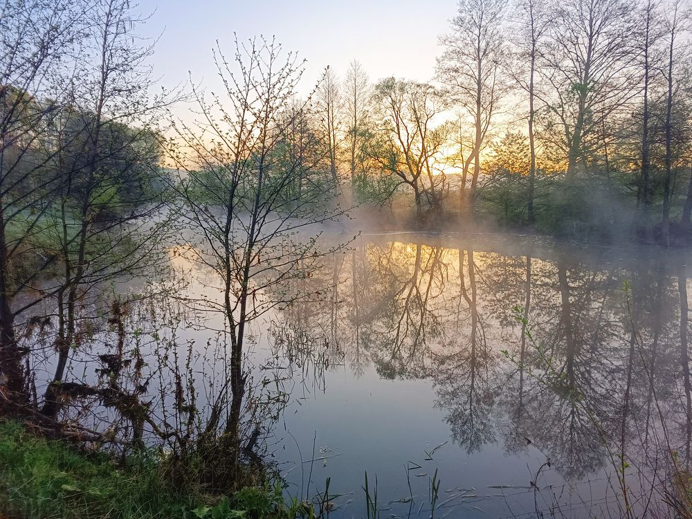 Photograph by Кондрашова Светлана