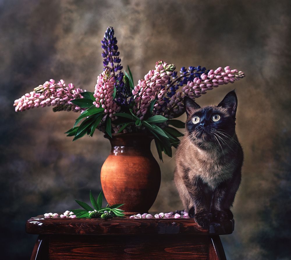 Photograph by Александра