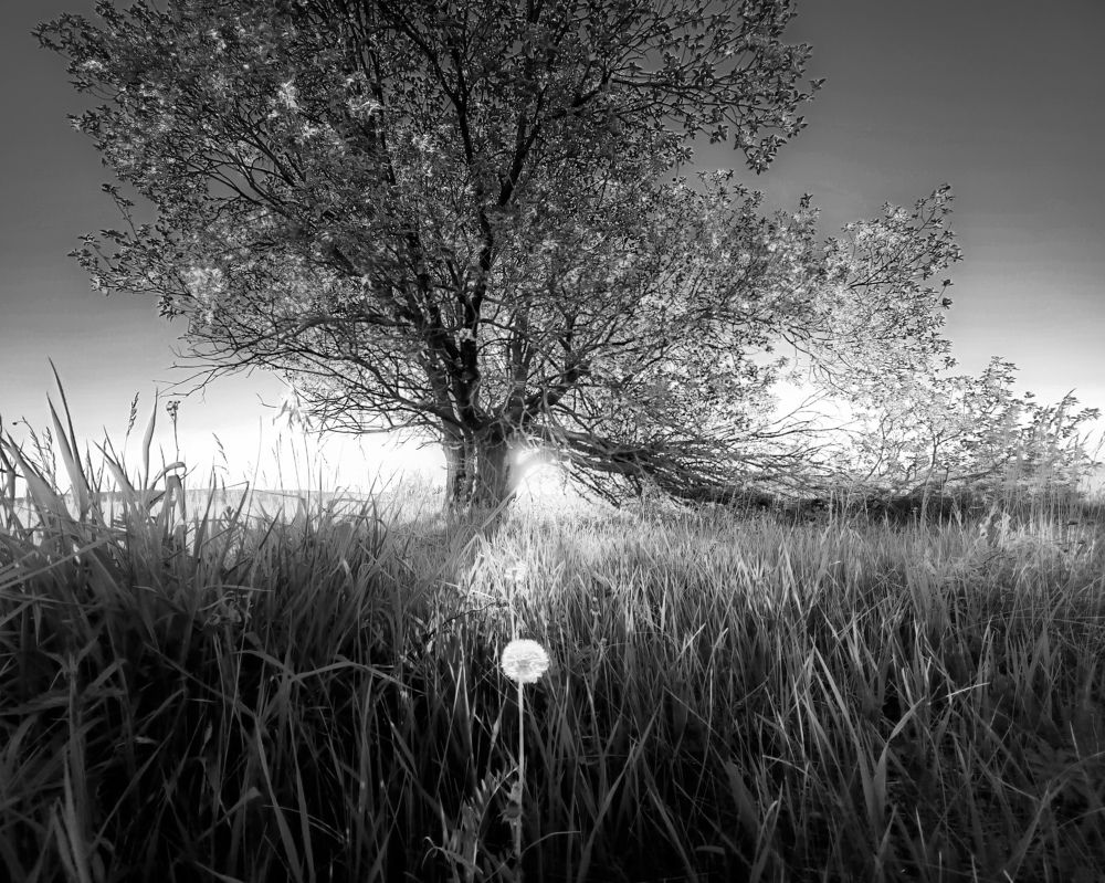 Photograph by Кондрашова Светлана