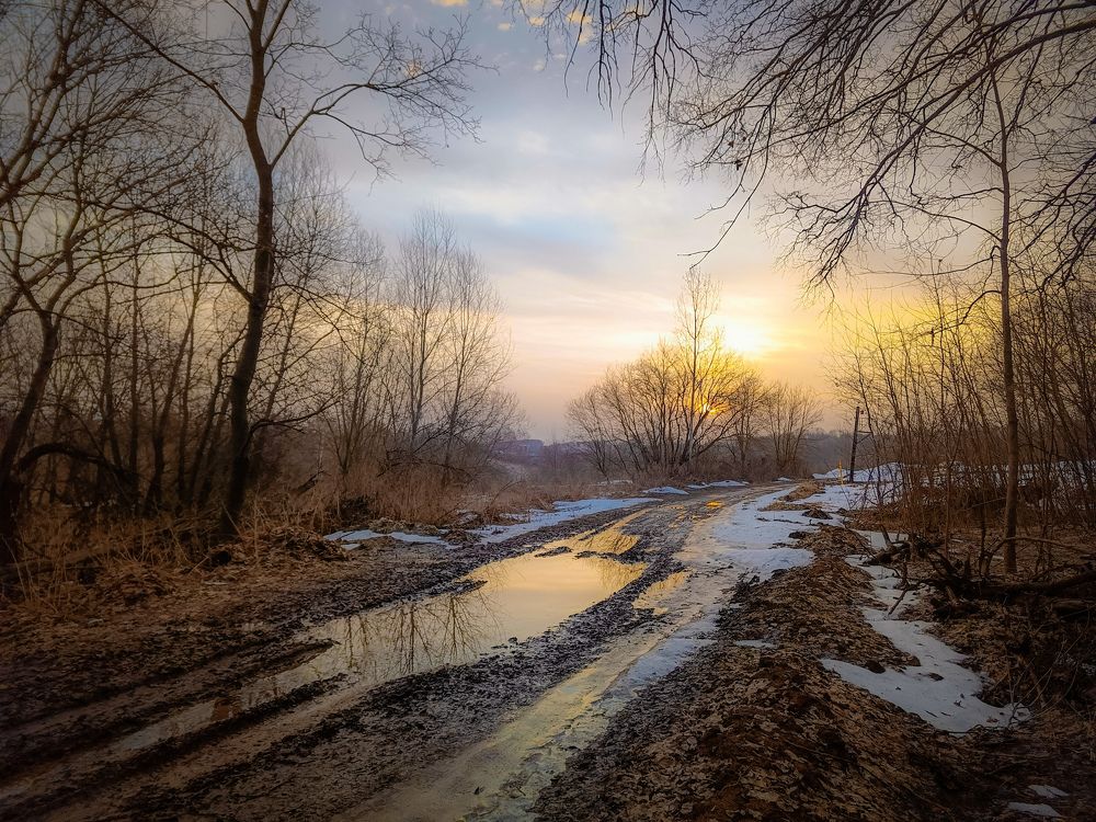 Photograph by Кондрашова Светлана