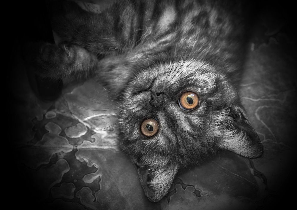 Photograph by Сергей Аникин