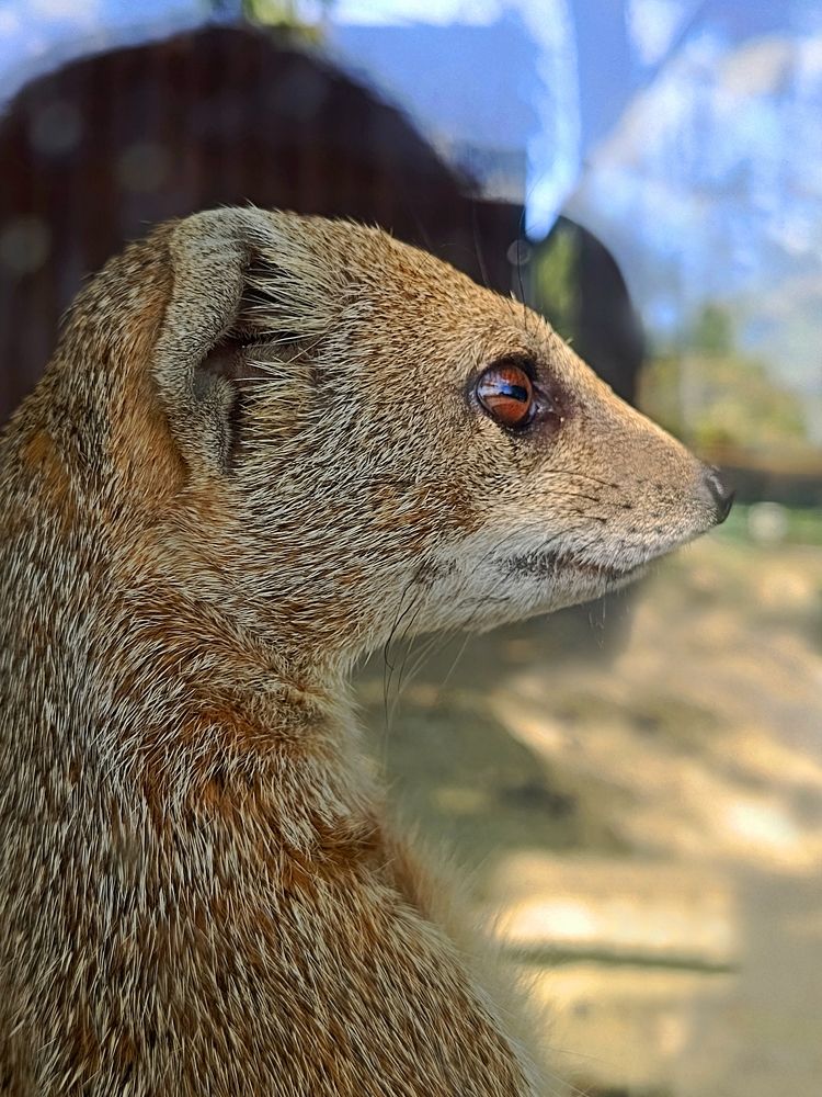 Photograph by Эдуард Попов