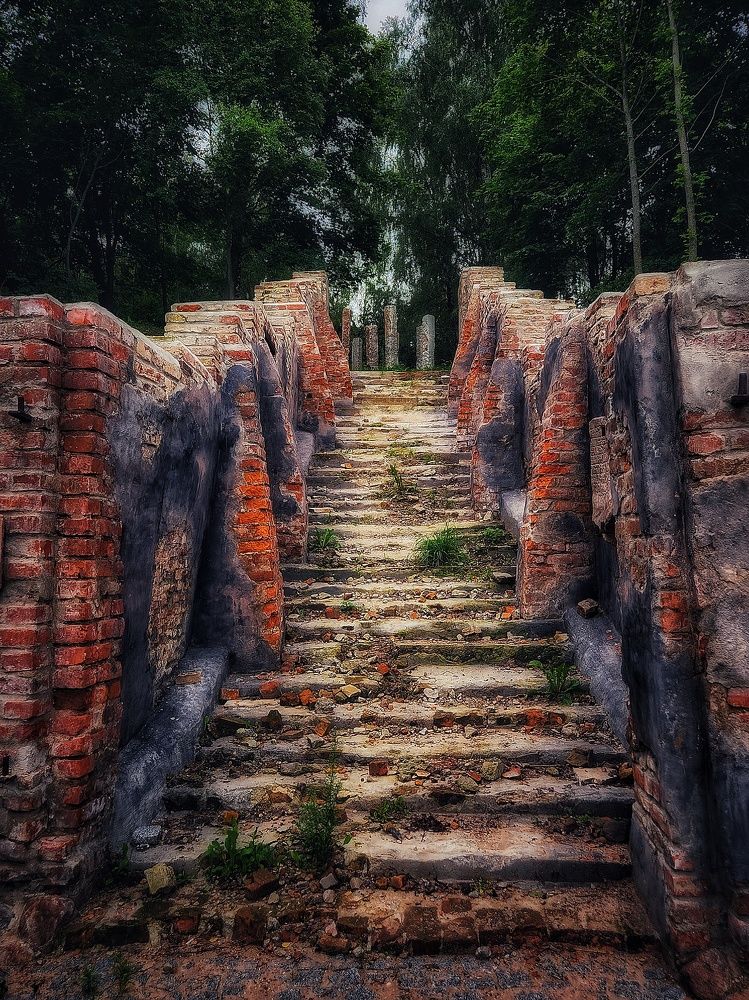 Photograph by Александра Кропивка