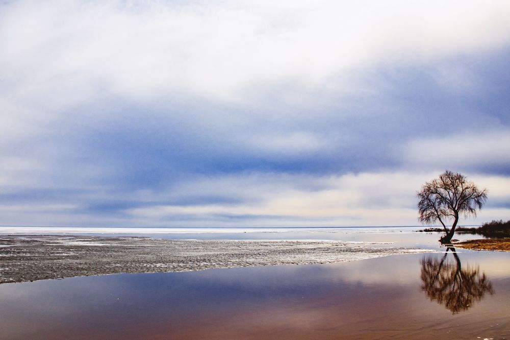 Photograph by Николай Велицкий