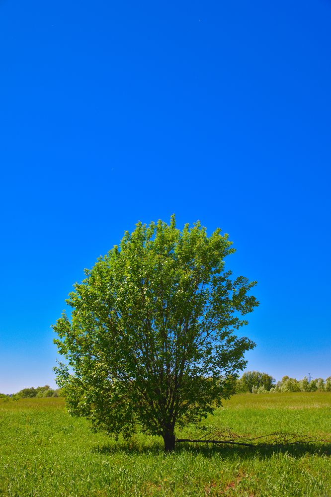 Photograph by Денис Прохоров
