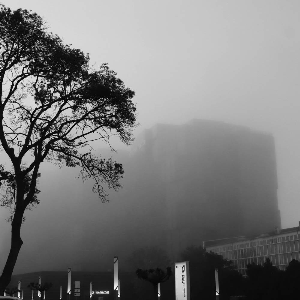 Photograph by Natalya Sedina