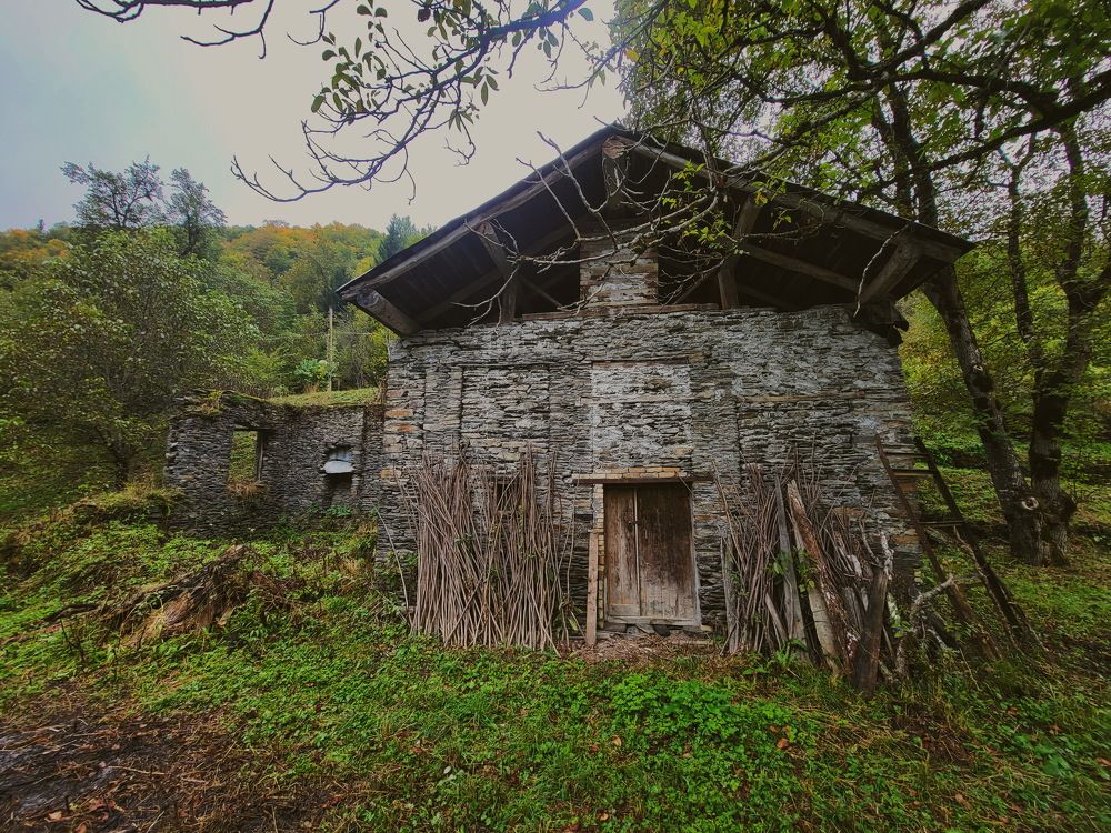 Photograph by Ирина Сушко