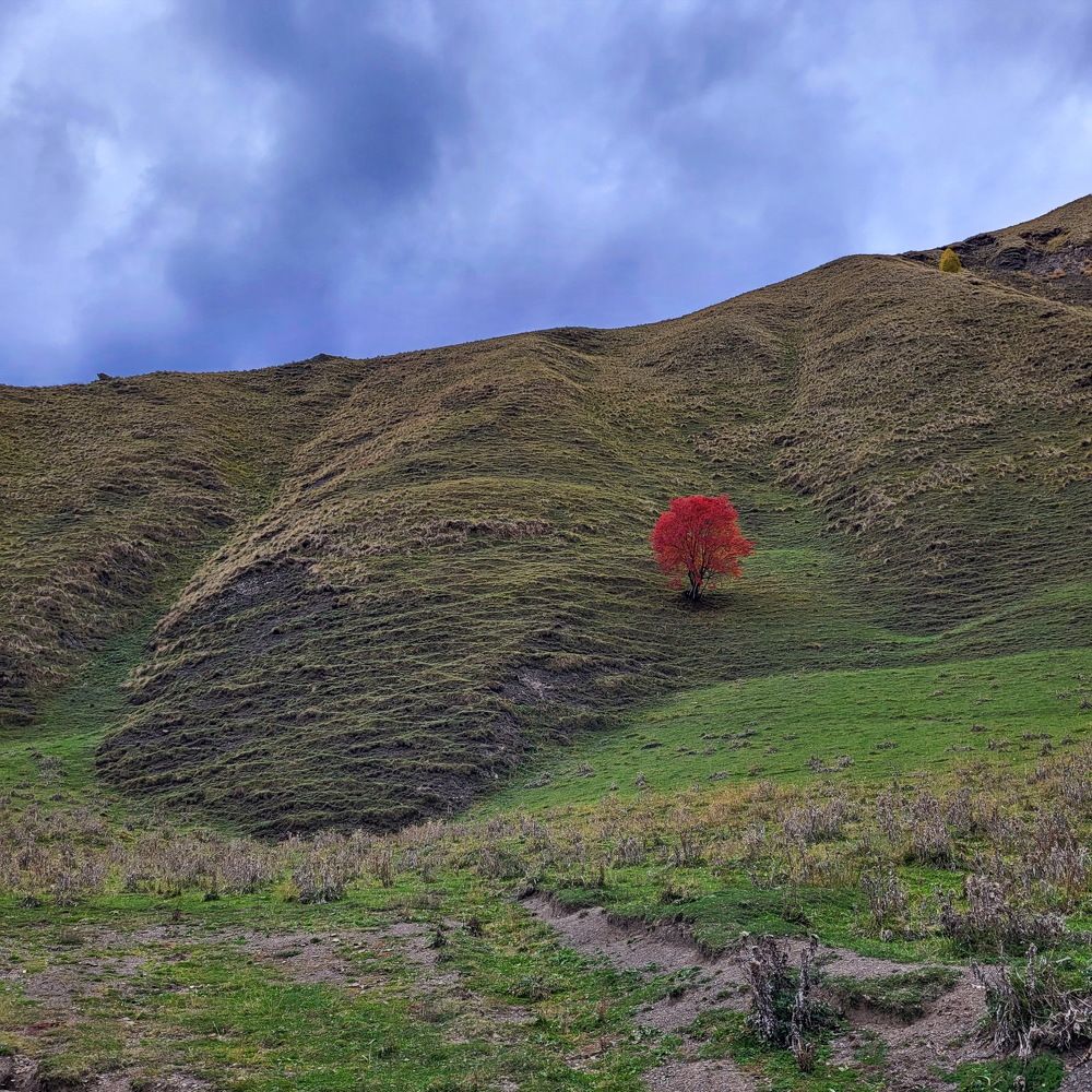 Photograph by Ирина Сушко