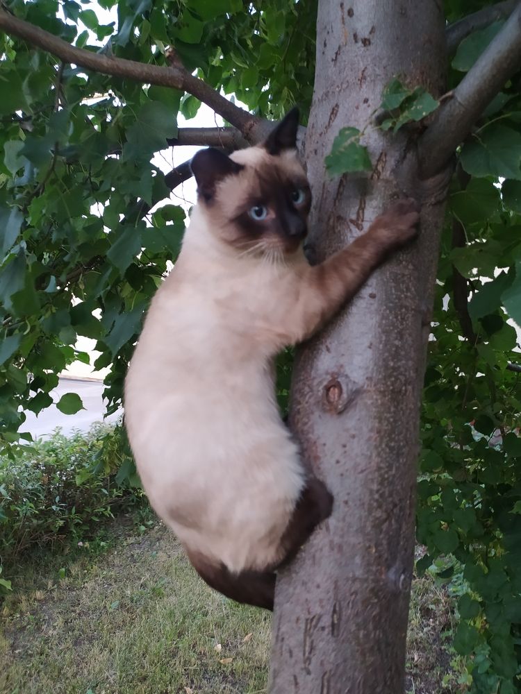 Фотография автора Елена Александрова