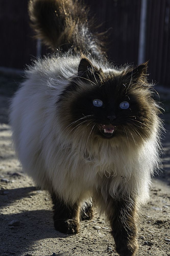 Photograph by Алексей Крукович