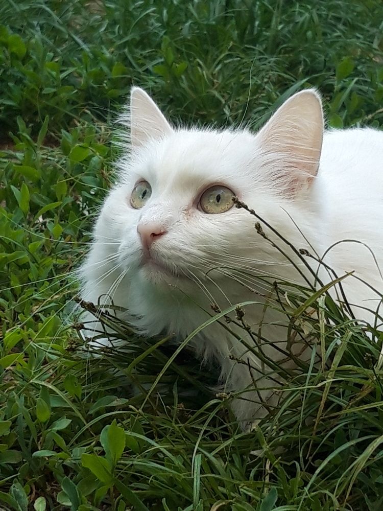 Photograph by Tatyana Busorgina