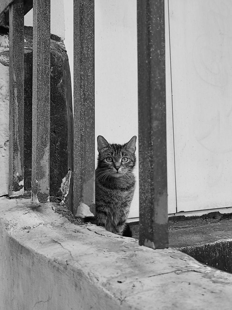 Photograph by Вячеслав Щёголев