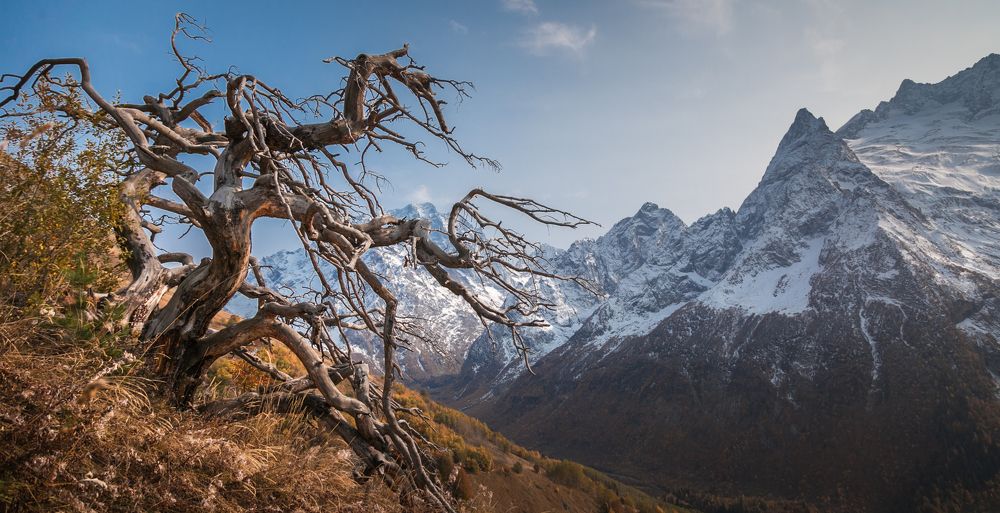 Photograph by Кривенко Владимир