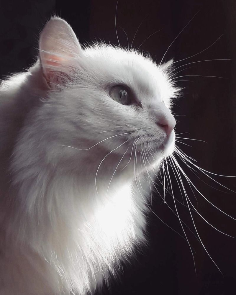 Photograph by Tatyana Busorgina