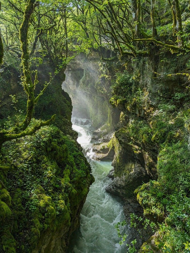 Фотография автора Елизавета