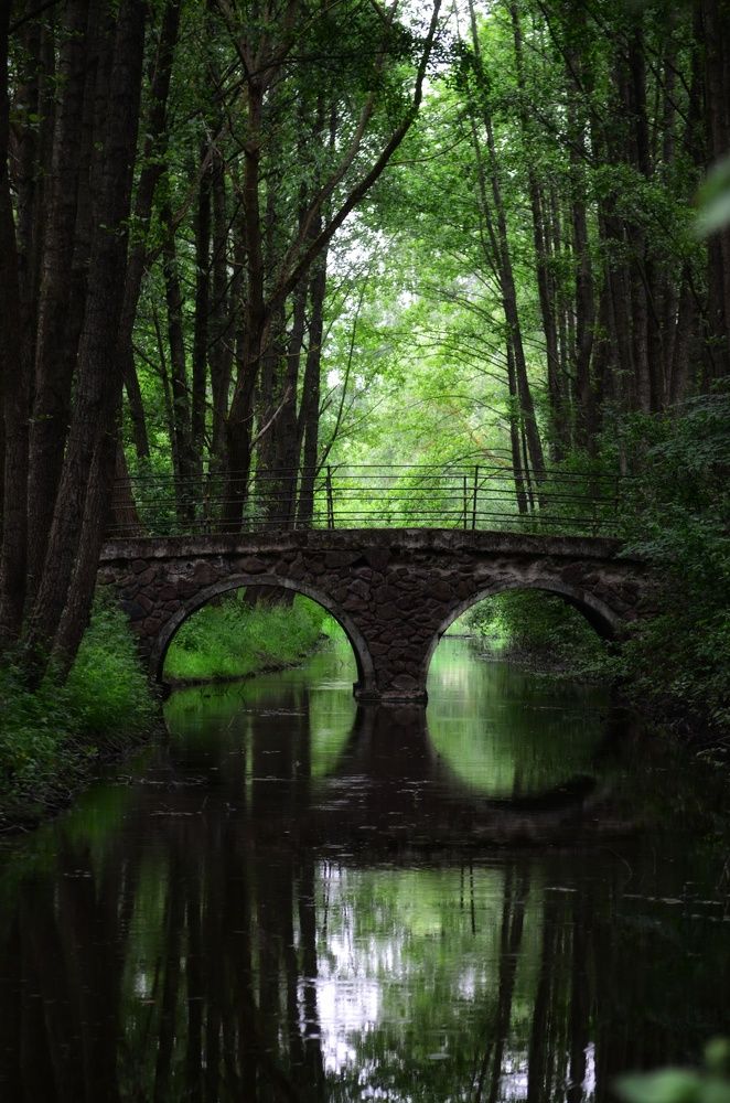 Photograph by Вероника Матиевская