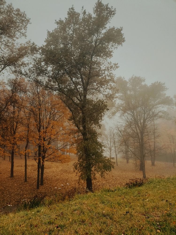 Photo #10697456
