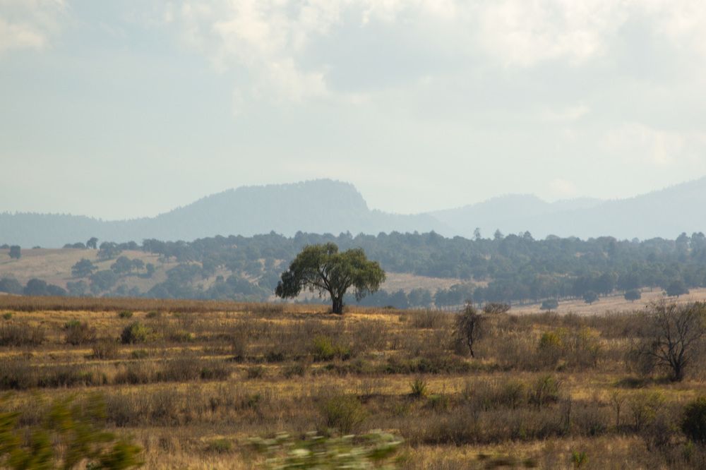 Фотография автора Ruslan Badykov