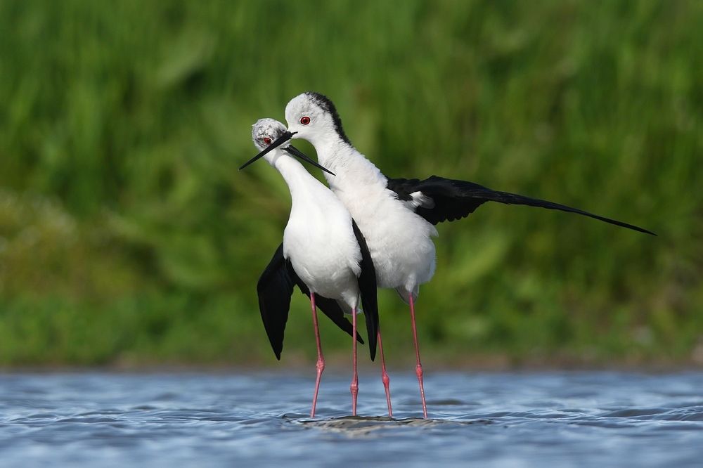 Photograph by Сергей Шкарупо