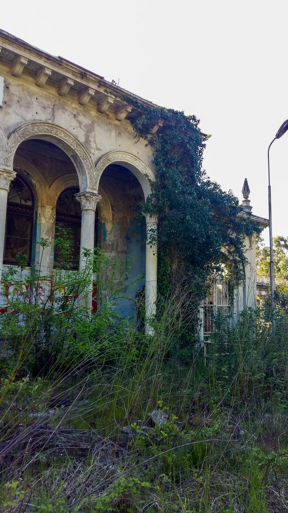 Photograph by Natalya Sedina