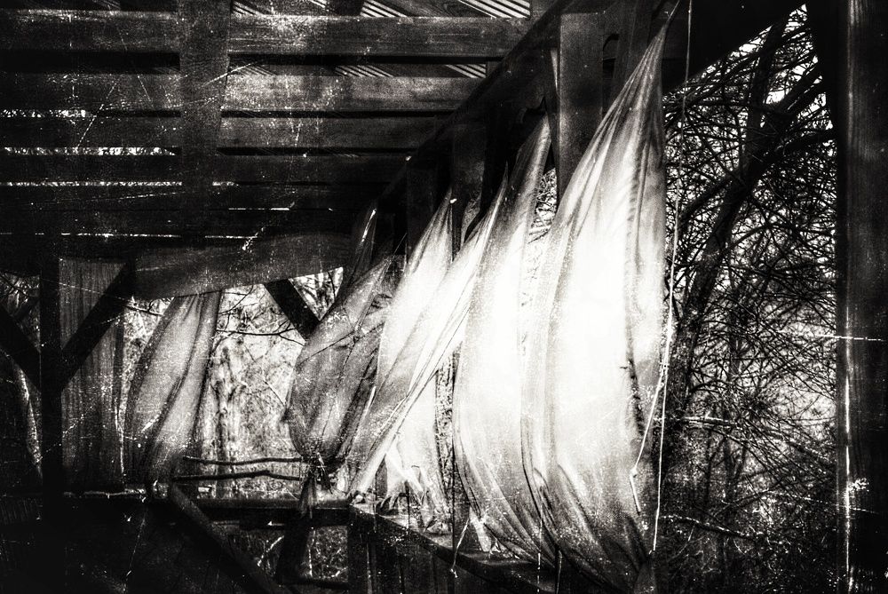 Photograph by Анна Берневик