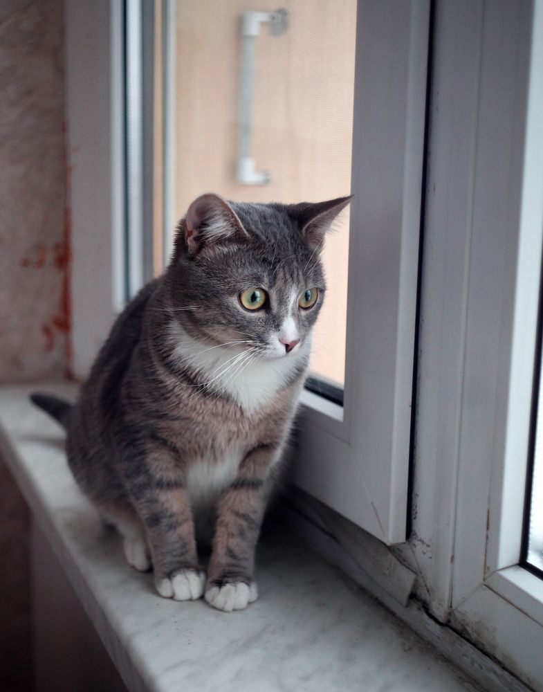 Photograph by Андрей Михайлин