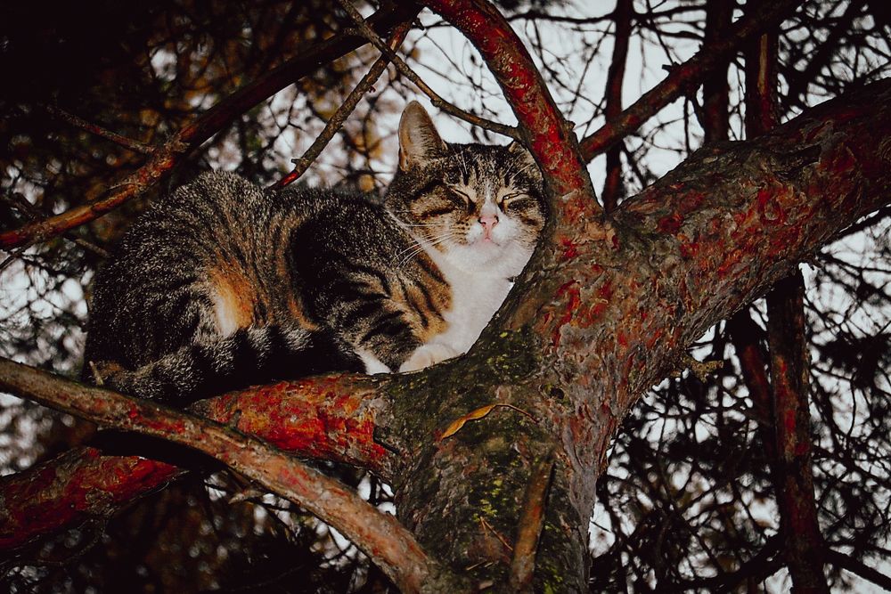 Photograph by Андрей Михайлин