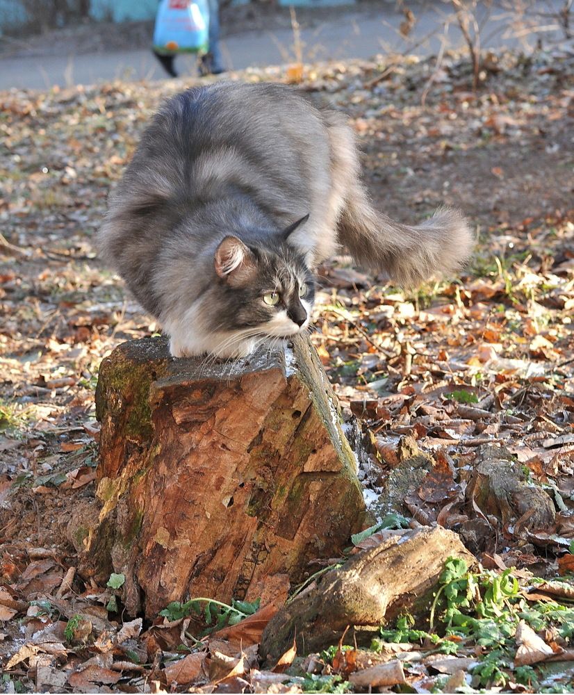 Photograph by Андрей Михайлин