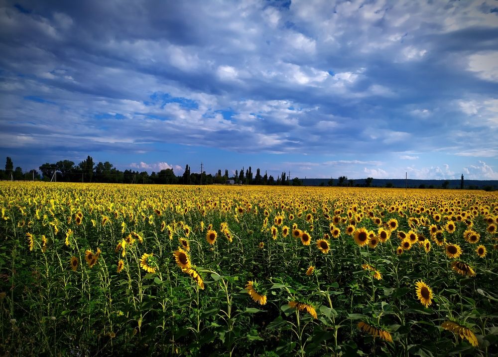 Photograph by Анна Берневик