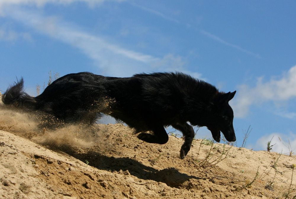 Фотография автора Надежда Лисицына