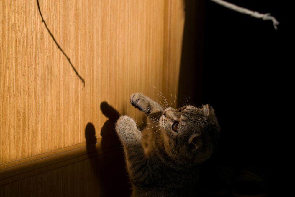 Photograph by Олег Алексеев