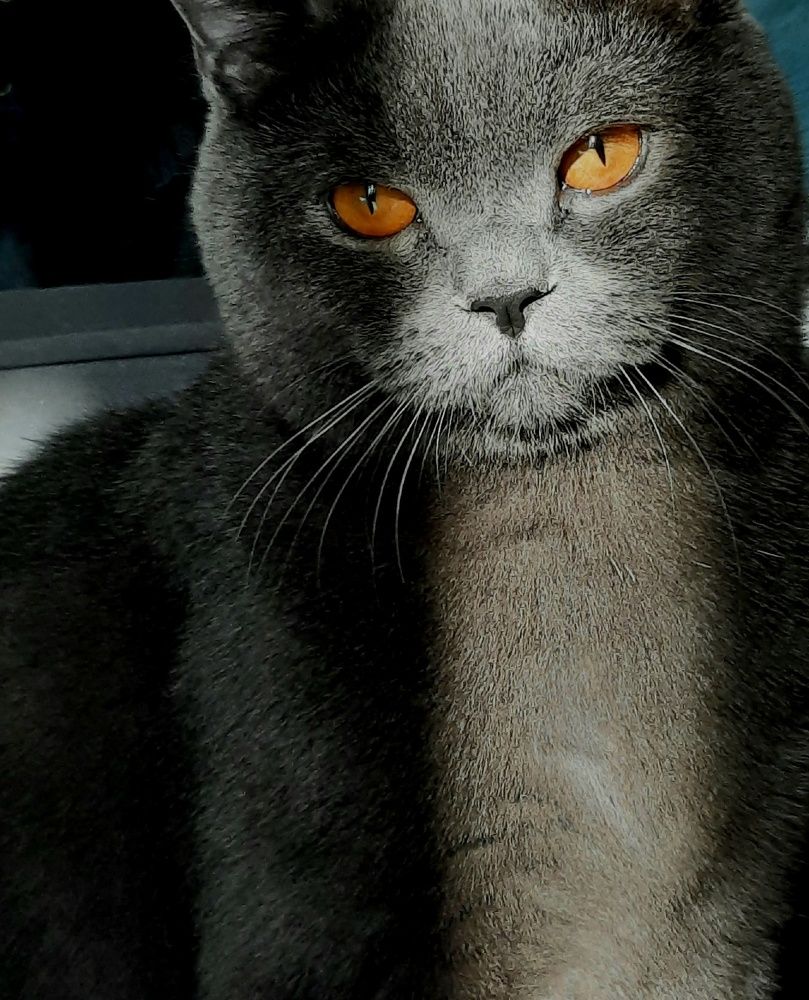 Photograph by Ольга Тютина