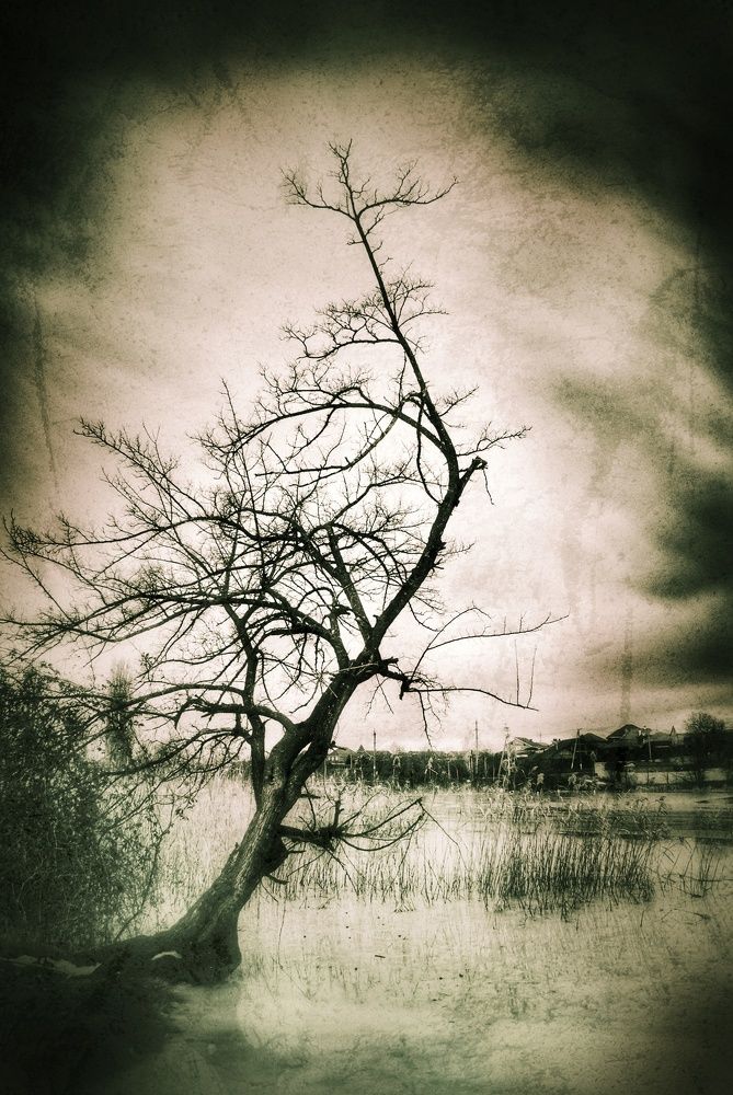 Photograph by Анна Берневик