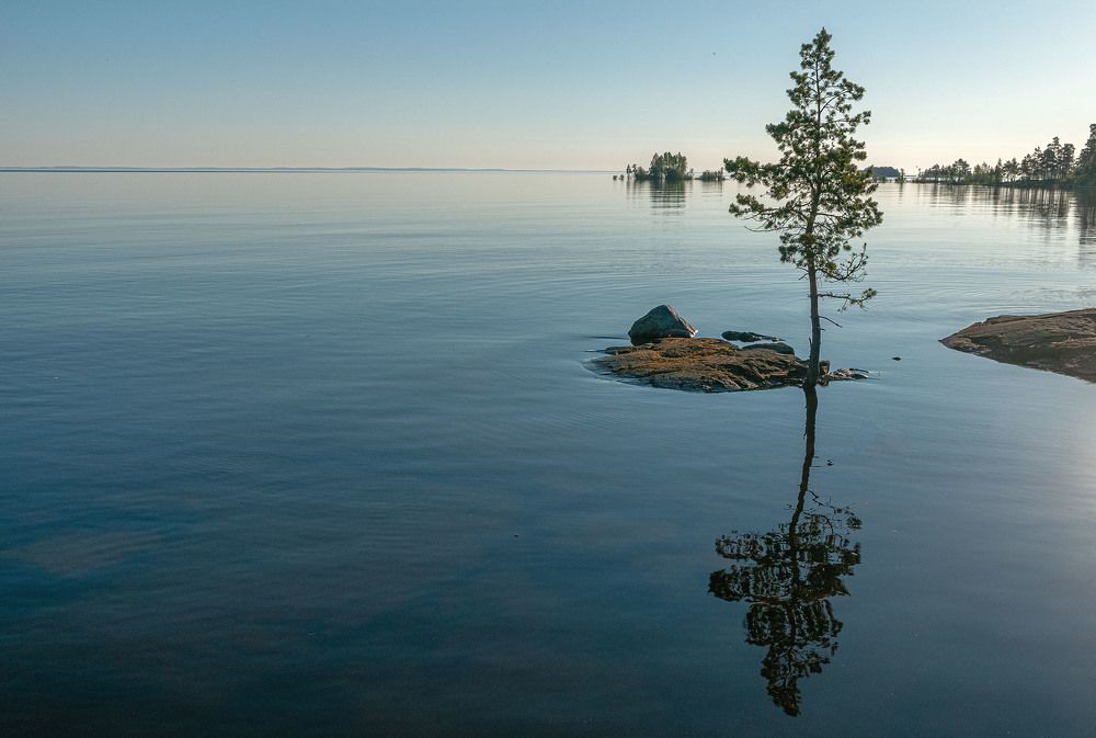 Photograph by Vladimir  Komarov