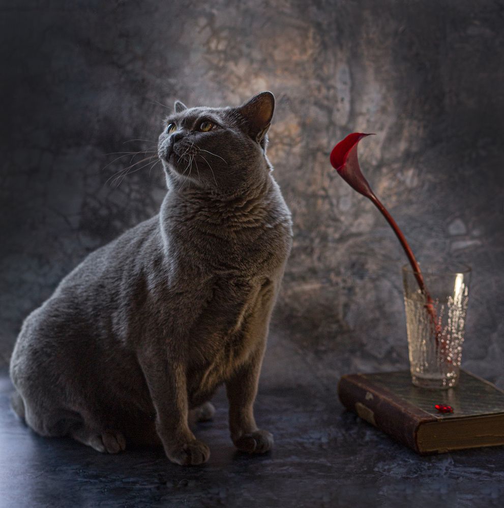 Photograph by Наталия Колтакова